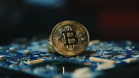 交易员重返Meme币，Shiba Inu价格飙升20%